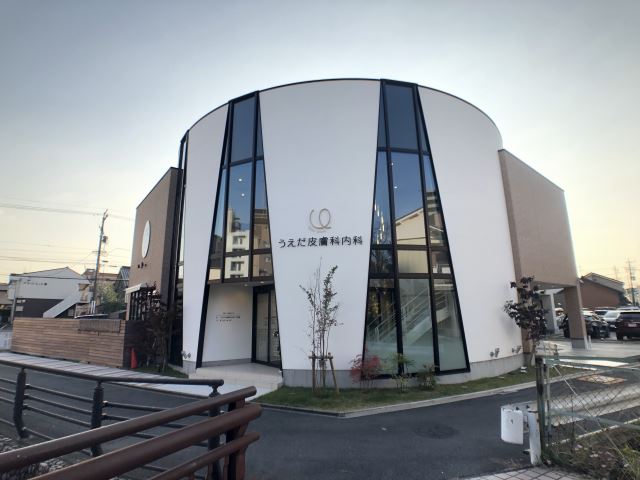 ドラックストア　うえだ皮膚科内科　八田院（ドラッグストア）まで390m