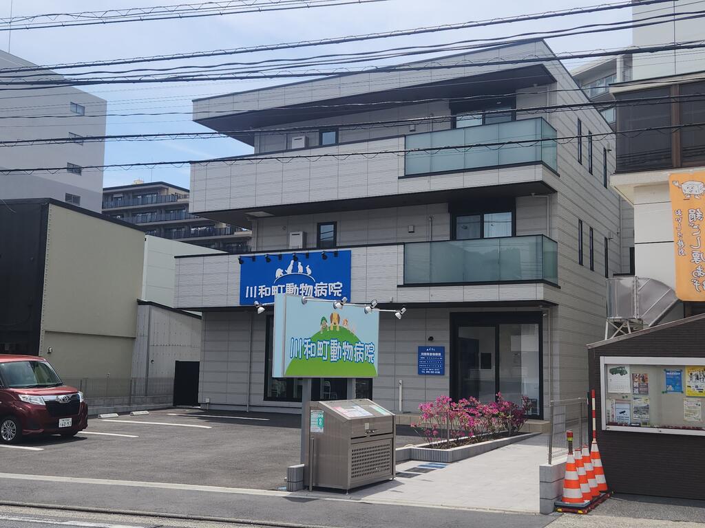 Grandmere Yokohama