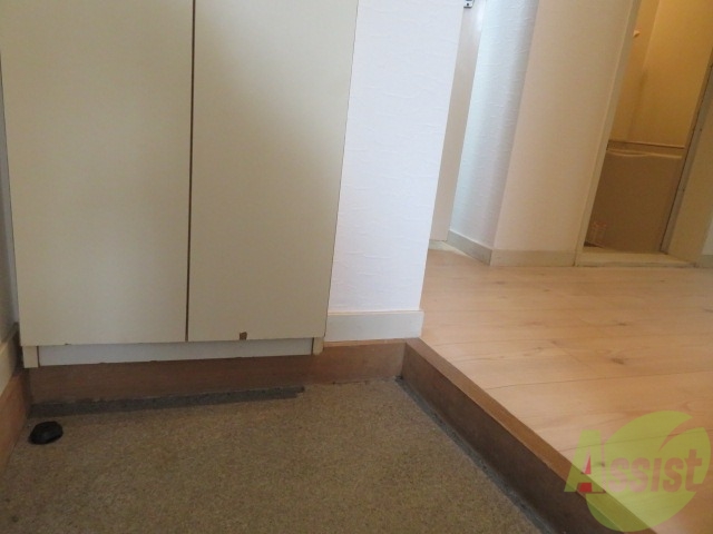 玄関　玄関から撮影しました。収納もあるので、安心ですね。