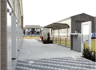 庭