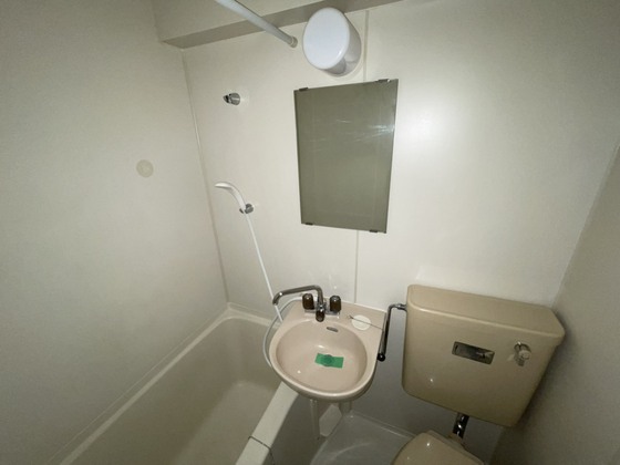 洗面設備　※別号室の写真です