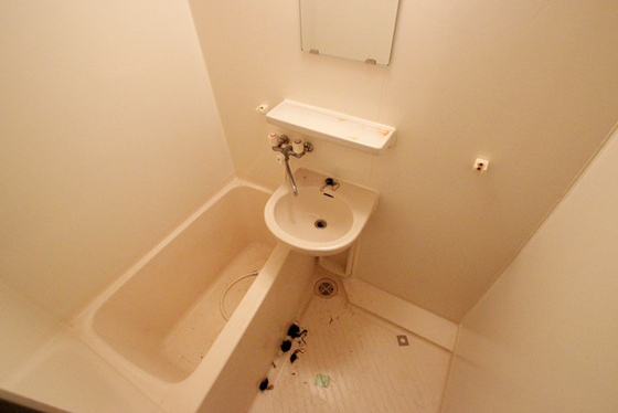 バス・シャワールーム　※別部屋の写真です