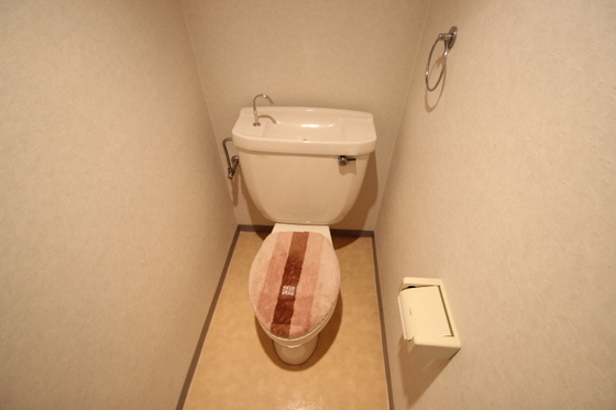 トイレ　※別号室の写真です