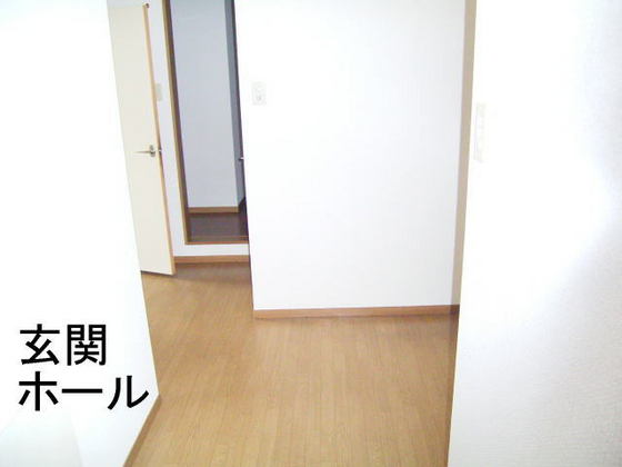 玄関　※他号室の写真です