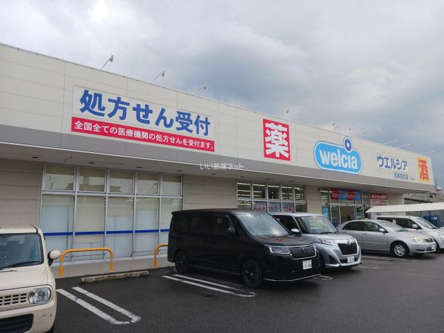 ドラックストア　ウエルシア薬局和泉伯太店（ドラッグストア）まで733m