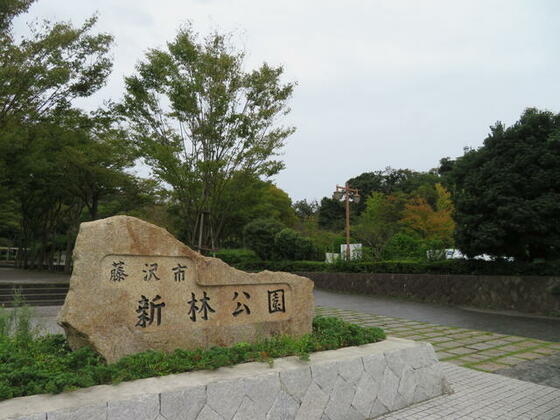 その他　新林公園（その他）まで1044m