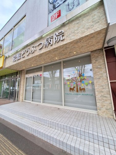 病院　常盤どうぶつ病院（病院）まで338m