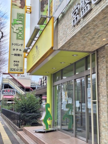 その他　DOGLIFE浦和店（その他）まで312m