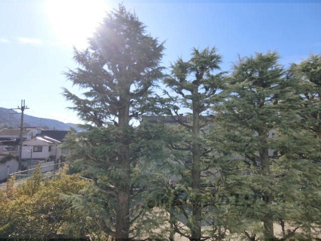 眺望