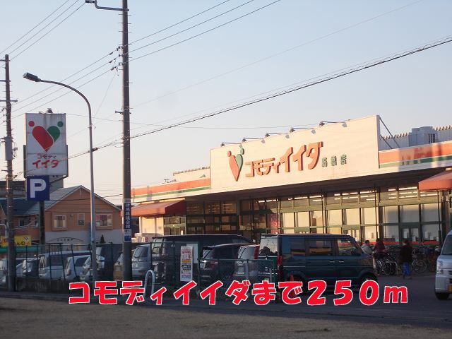 その他　コモディイイダ（その他）まで250m