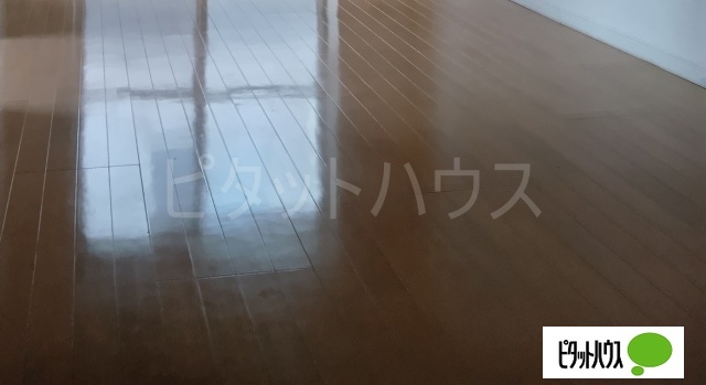 居室・リビング　フローリングです♪