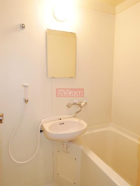 バス・シャワールーム　洗面