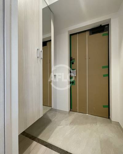 玄関　スプランディッド難波III　玄関