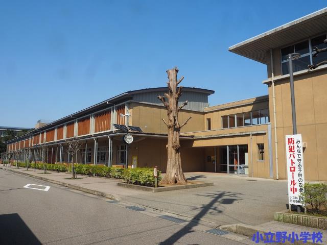 小学校　小立野小学校（小学校）まで626m