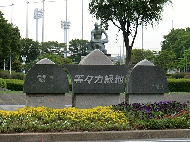 公園　等々力緑地（公園）まで800m