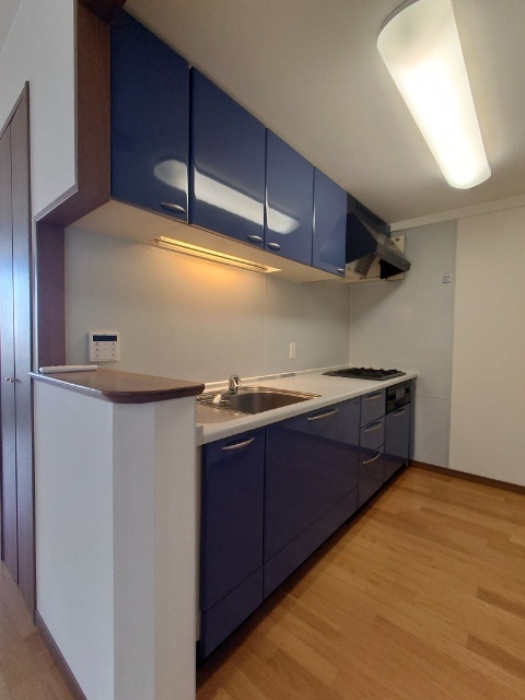 キッチン　同タイプ