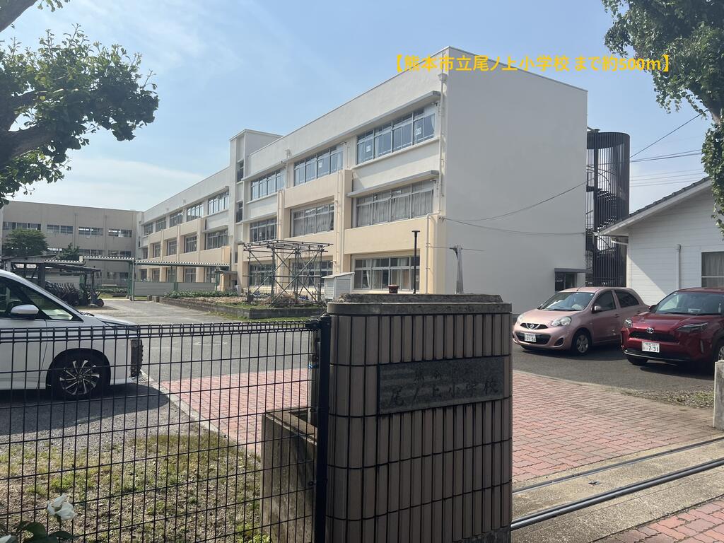 小学校　熊本市立尾ノ上小学校（小学校）まで500m