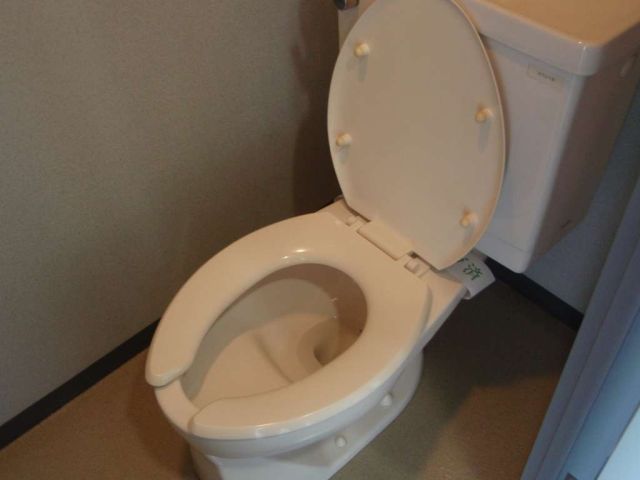 トイレ　トイレ