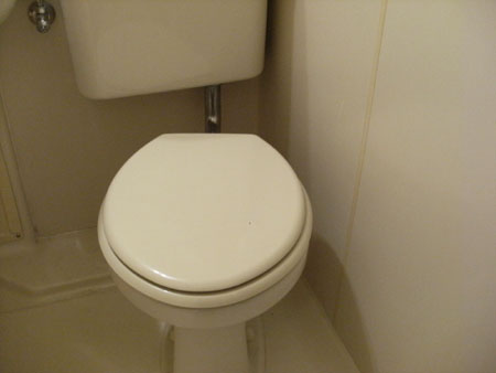 トイレ　トイレも気になるポイント
