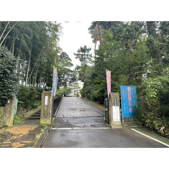 小学校　仙台市立向山小学校（小学校）まで989m