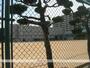 小学校　高槻市立松原小学校（小学校）まで728m