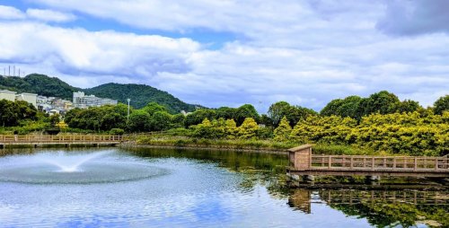 公園　中池公園（公園）まで1587m