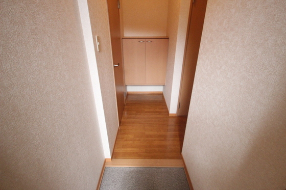 玄関　※別号室のお写真です