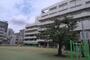 小学校　和泉小学校（小学校）まで481m