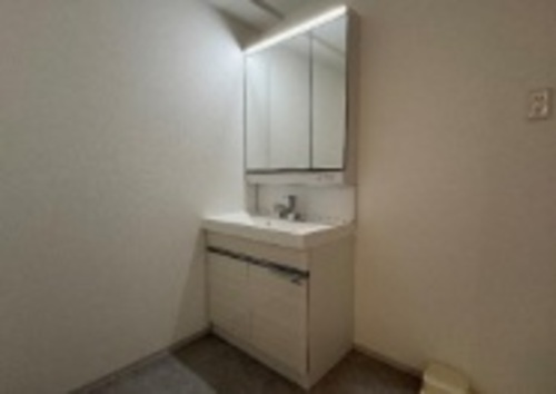 洗面設備　洗面台　※同タイプのお部屋のお写真で色が異なります