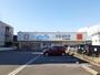 ドラックストア　ウェルシア清水草薙店（ドラッグストア）まで1133m