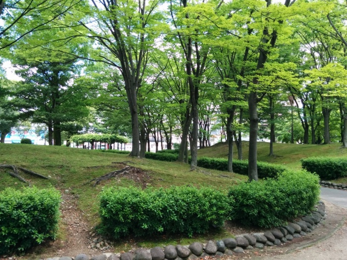 公園　中央公園（公園）まで335m