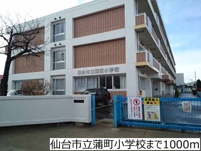 小学校　仙台市立蒲町小学校（小学校）まで1000m