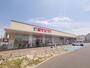 ドラックストア　スギ薬局堺大野芝店（ドラッグストア）まで181m