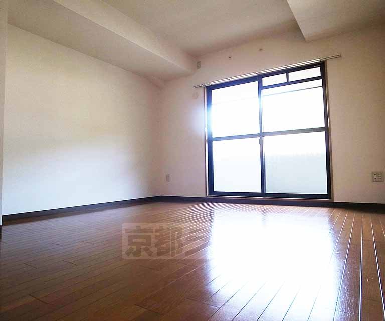 居室・リビング　ひろーーいお部屋です