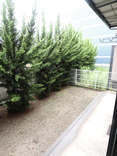 庭