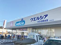ドラックストア　ウエルシア川口北原台店（ドラッグストア）まで441m