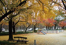 公園　本庄公園（公園）まで750m