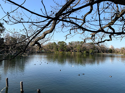 公園　洗足池公園（公園）まで715m
