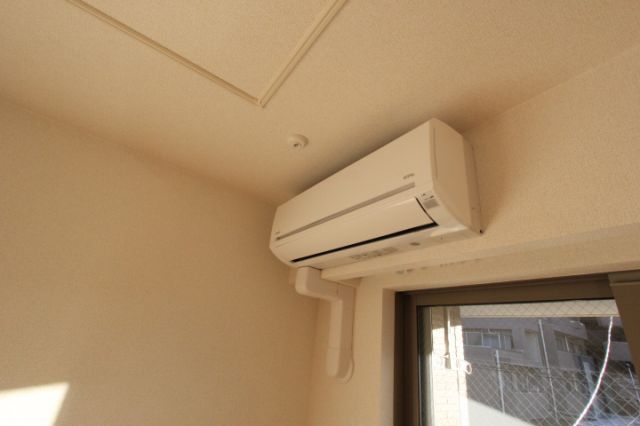アンジュのその他写真
