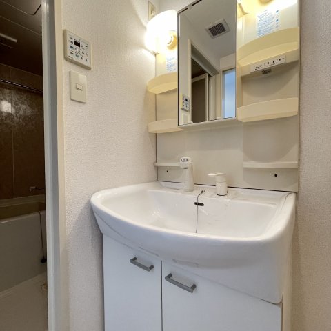 洗面設備　同仕様タイプです