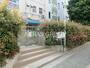 幼稚園・保育園　伊藤保育園（幼稚園・保育園）まで237m