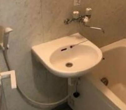 洗面設備　参考写真：別部屋タイプ