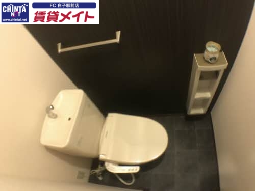 トイレ　同タイプ部屋写真です。