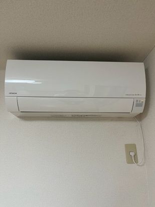 アゼリアオオバのその他写真