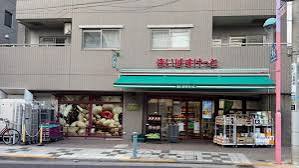 セレスティア北小岩Vの周辺写真