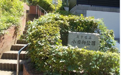 公園　小日向公園（公園）まで565m
