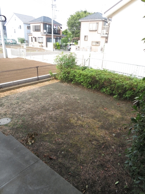 庭
