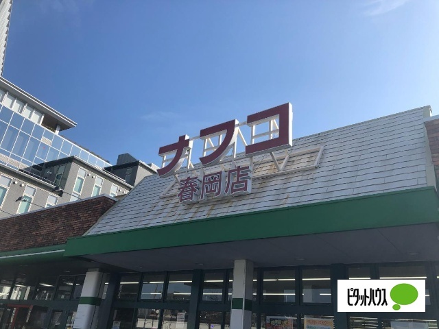 スーパー　ナフコトミダ春岡店（スーパー）まで573m