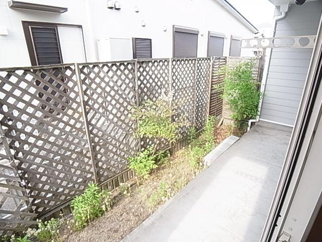 庭