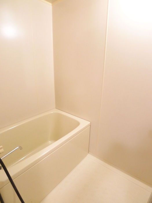 SUNCITY HIKOTA C-1の風呂写真